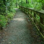 Briar Bottom Trail Rail