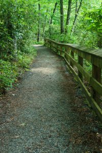 Briar Bottom Trail Rail