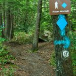 Mount Mitchell Trail Sign