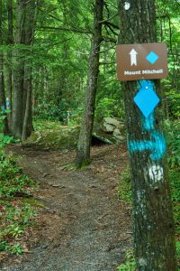 Mount Mitchell Trail Sign