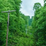 View Up the Powerlines