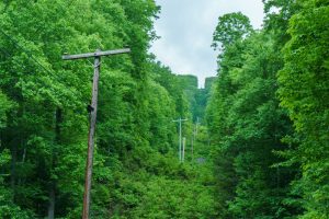 View Up the Powerlines