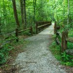 Briar Bottom/River Loop Trail Bridge