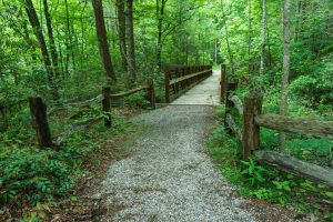 Briar Bottom/River Loop Trail Bridge