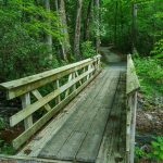 Briar Bottom/River Loop Trail Bridge