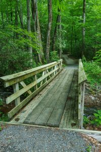 Briar Bottom/River Loop Trail Bridge