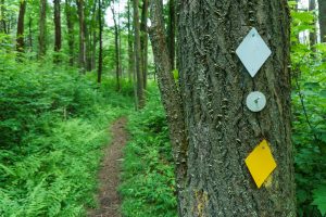 Blazes on the Black Mountain Trails