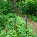 Black Mountain Trailhead