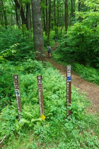 Black Mountain Trailhead