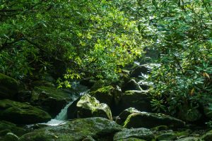 Cascade on Camp Creek