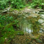 River Loop Trail Camp Creek Crossing