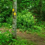 Curve in the River Loop Trail