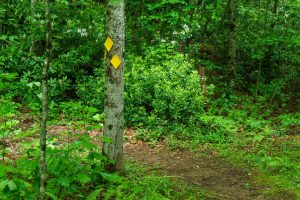 Curve in the River Loop Trail