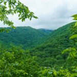 View toward Mt. Mitchell from the River Loop Trail