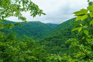 View toward Mt. Mitchell from the River Loop Trail