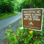 Camping in Designated Sites Only