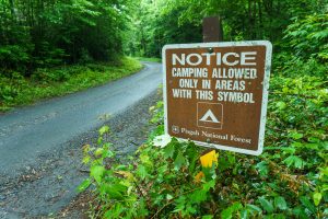 Camping in Designated Sites Only