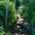 Start of the Art Loeb Spur Trail