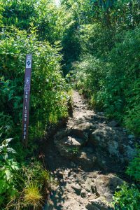 Start of the Art Loeb Spur Trail