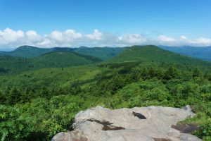 View from the Art Loeb Spur Trail