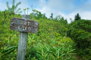 Art Loeb Trail Sign