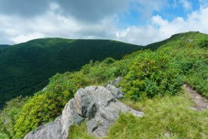 View of Tennent Mountain and Black Balsam Knob