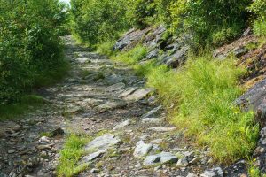 Big Rocks on the Ivestor Gap Trail