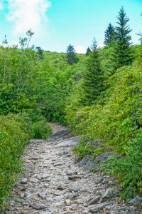 Rocky Stretch of Trail