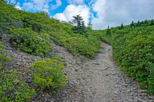 Rocky Slope Beside the Ivestor Gap Trail