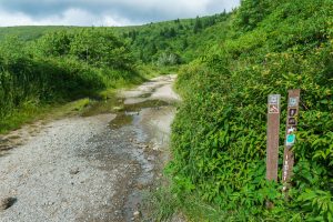 Sign for the Ivestor Gap Trail