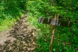 Art Loeb - Shining Creek Trail Junction