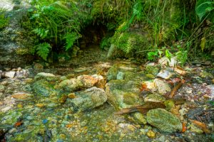 Spring Beside the Art Loeb Trail