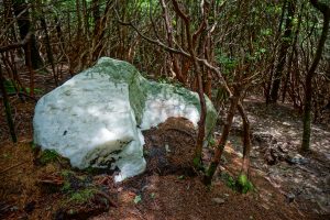 Quartz Boulder Beside the Old Butt Knob Trail