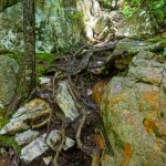 Beginning of Climb up Shining Rock