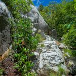 Climbing Shining Rock