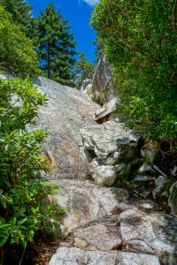 Scramble Path up Shining Rock