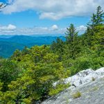 View West from Shining Rock