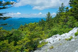 View West from Shining Rock