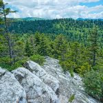 View of Black Balsam