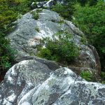 View Up Shining Rock