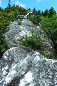 View Up Shining Rock