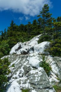 View Up Shining Rock