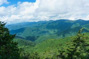 Overlook near Blackstock Knob