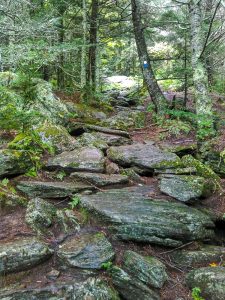 Rocky Stretch of Camp Alice Trail