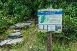 Camp Alice Trail Sign