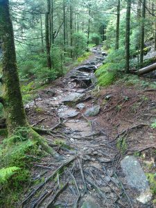 Wet Rocky Camp Alice Trail