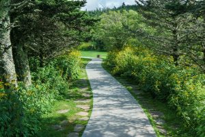 Old Mitchell Trail at the Restaurant