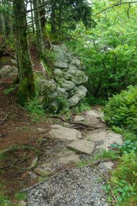 Right Turn on Old Mitchell Trail