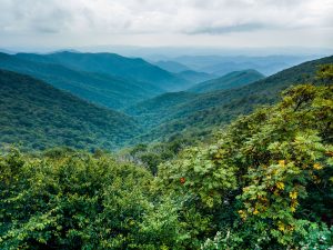 Early September View from Craggy Gardens