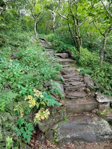 Steps on the Mountains to Sea Trail